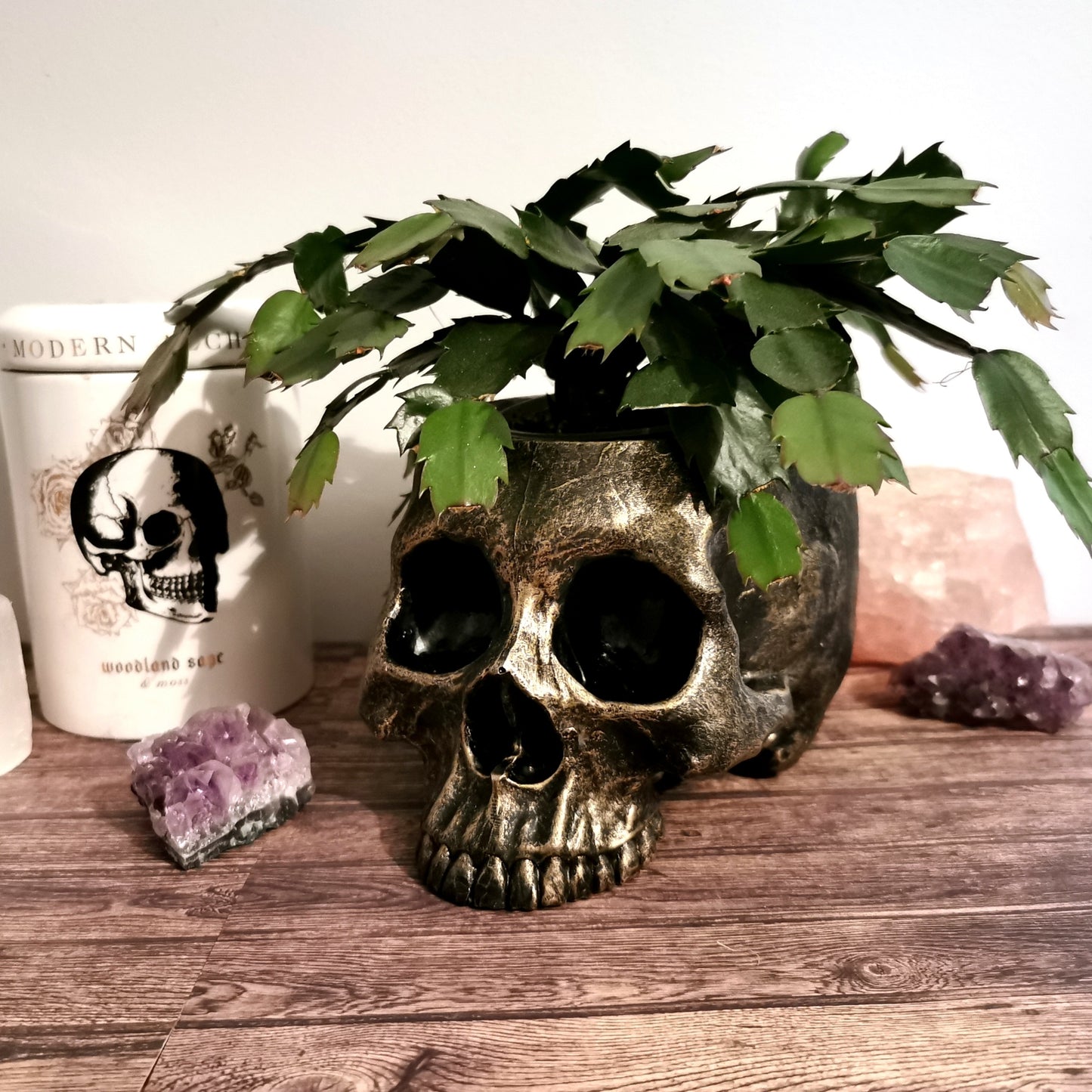 Skull Garden Planter