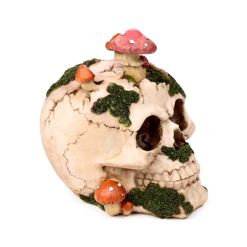 Natural Decay Skull & Mushroom Figurine