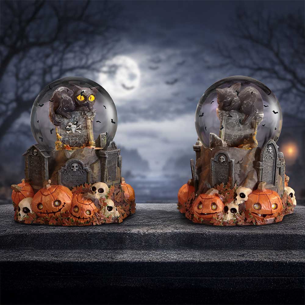 Pumpkin Patch Snow Globe