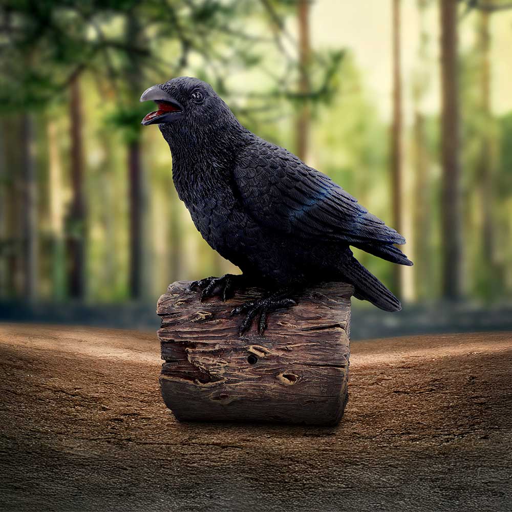 Ravens Cry Motion Activated Figurine