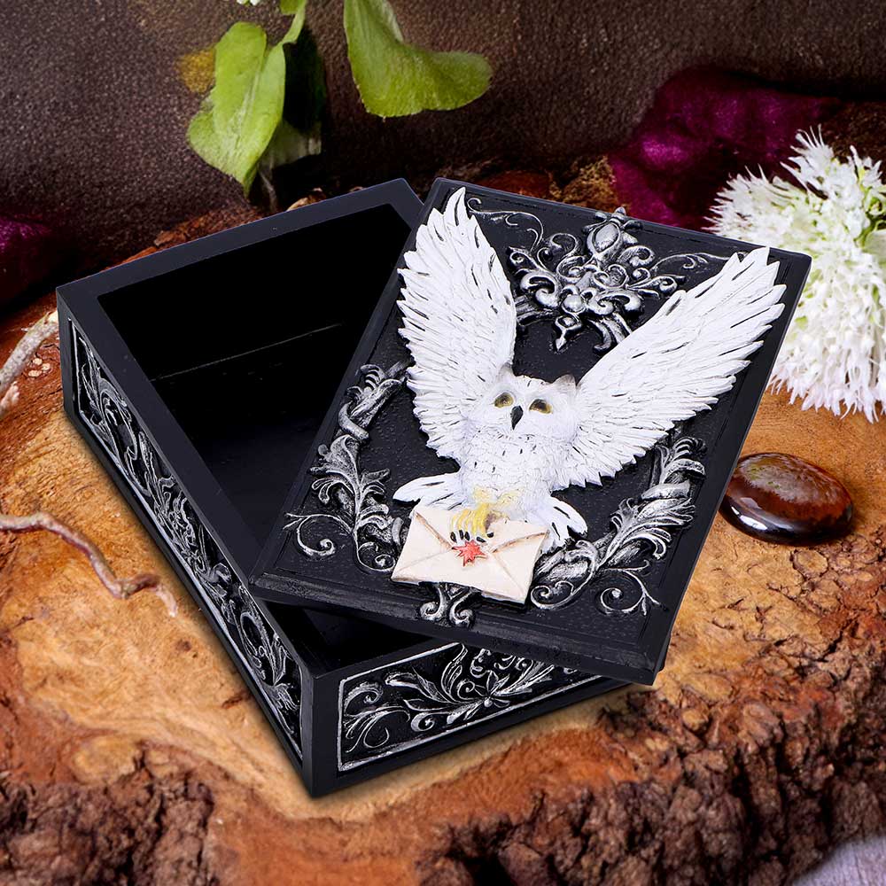 Owl Messenger Box