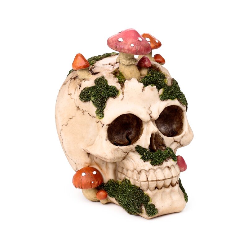 Natural Decay Skull & Mushroom Figurine