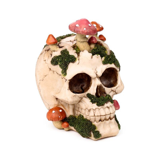 Natural Decay Skull & Mushroom Figurine
