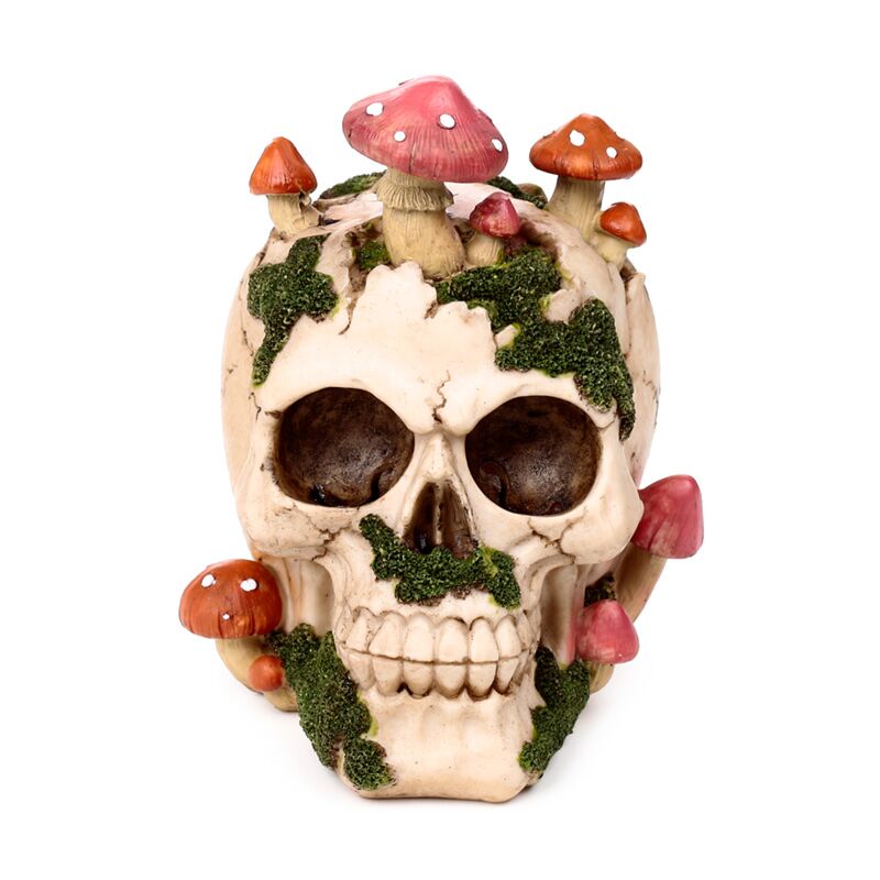 Natural Decay Skull & Mushroom Figurine