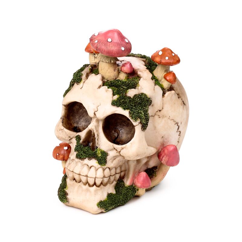 Natural Decay Skull & Mushroom Figurine