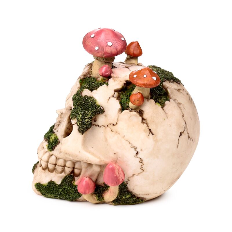 Natural Decay Skull & Mushroom Figurine