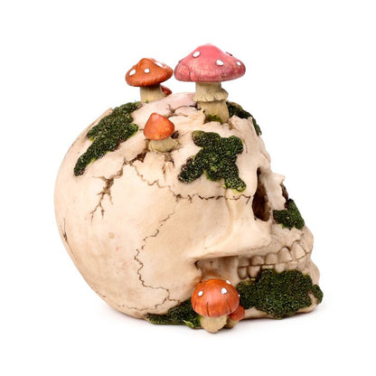 Natural Decay Skull & Mushroom Figurine