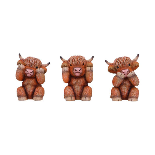 Three Wise Highland Cows
