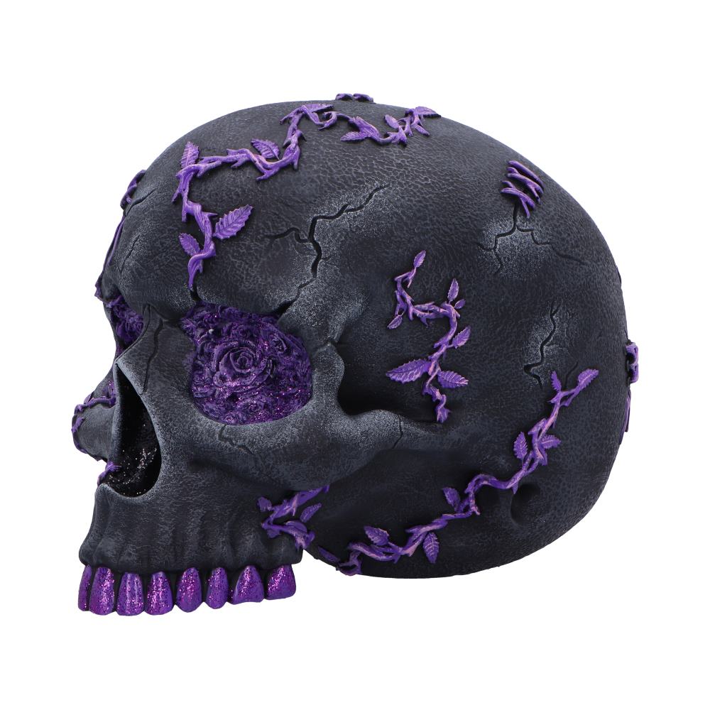 Rose Geode Skull