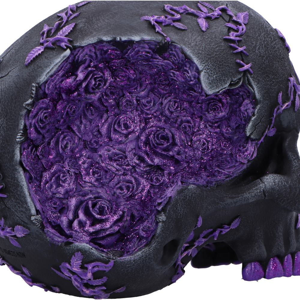 Rose Geode Skull