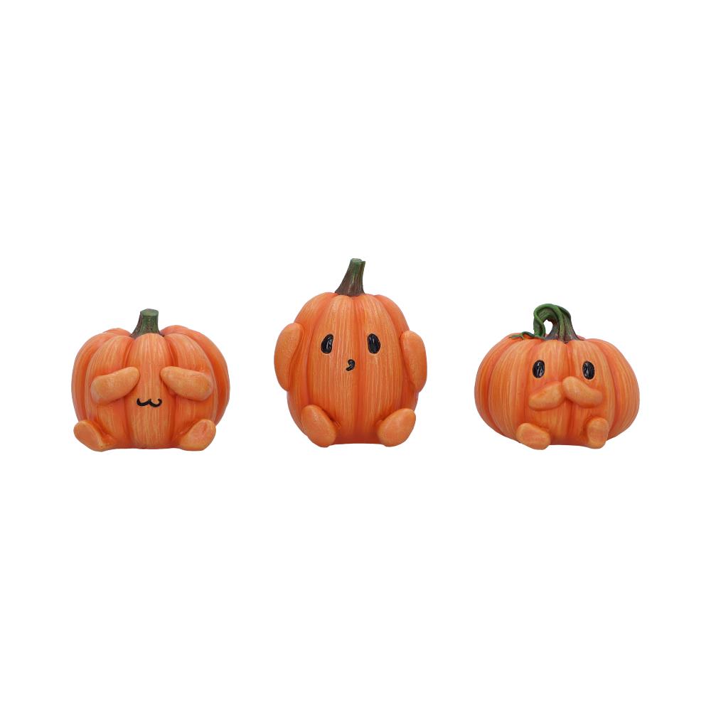 Three Wise Pumpkins