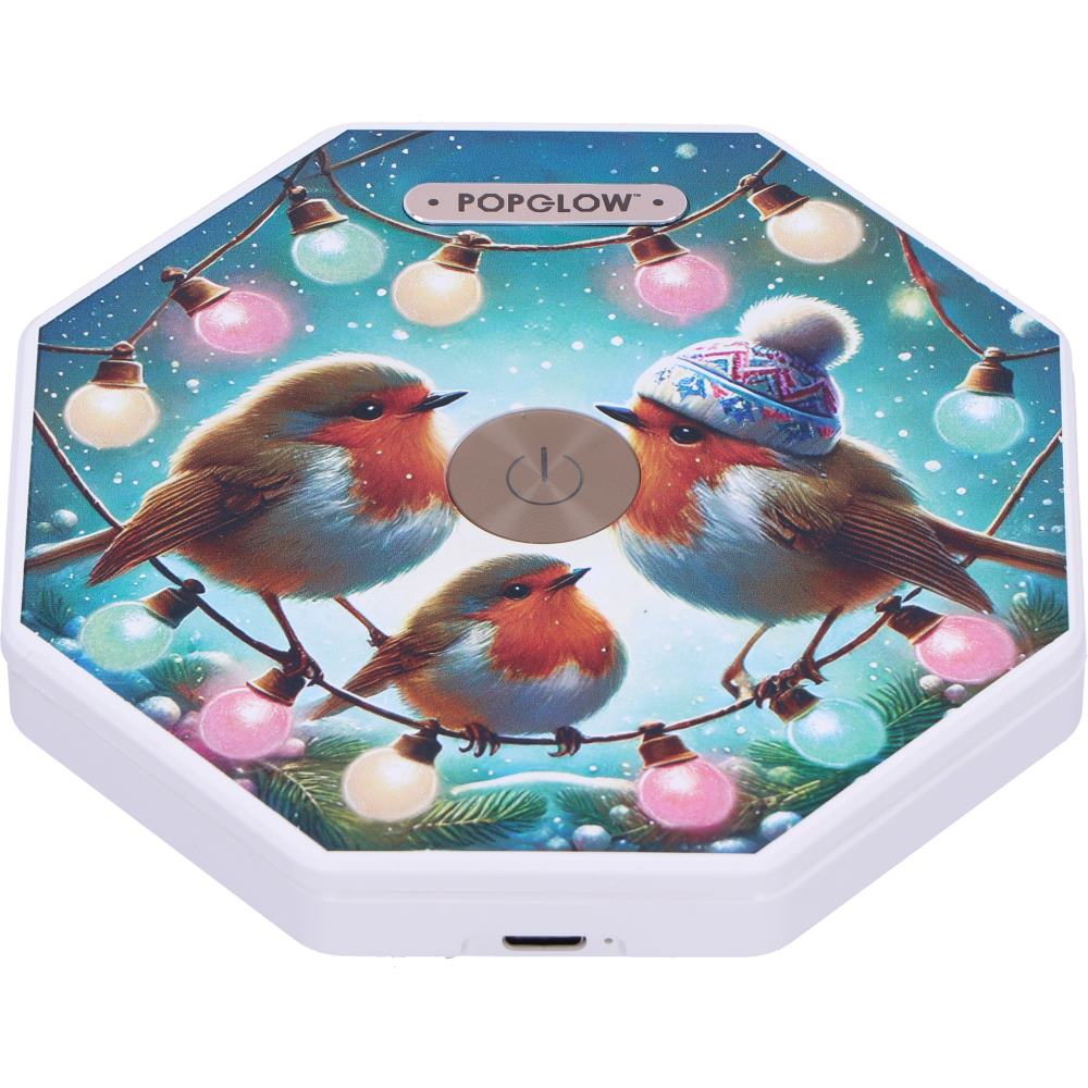 Winter Robins Foldable Lamp