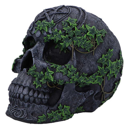 Aged Pentagram Skull