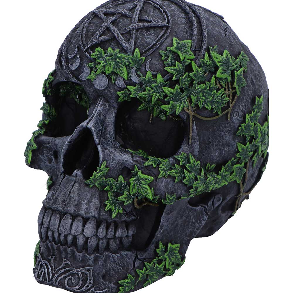 Aged Pentagram Skull