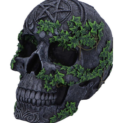 Aged Pentagram Skull