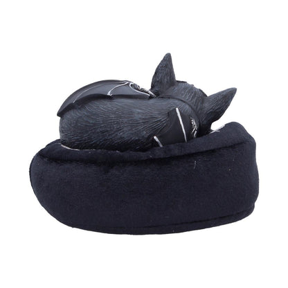 Malpuss Dreams