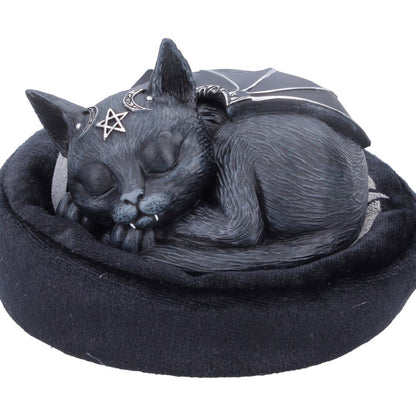 Malpuss Dreams