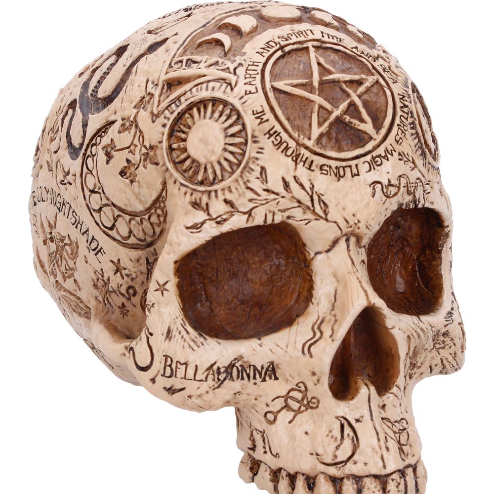 Apothecary Skull Figurine