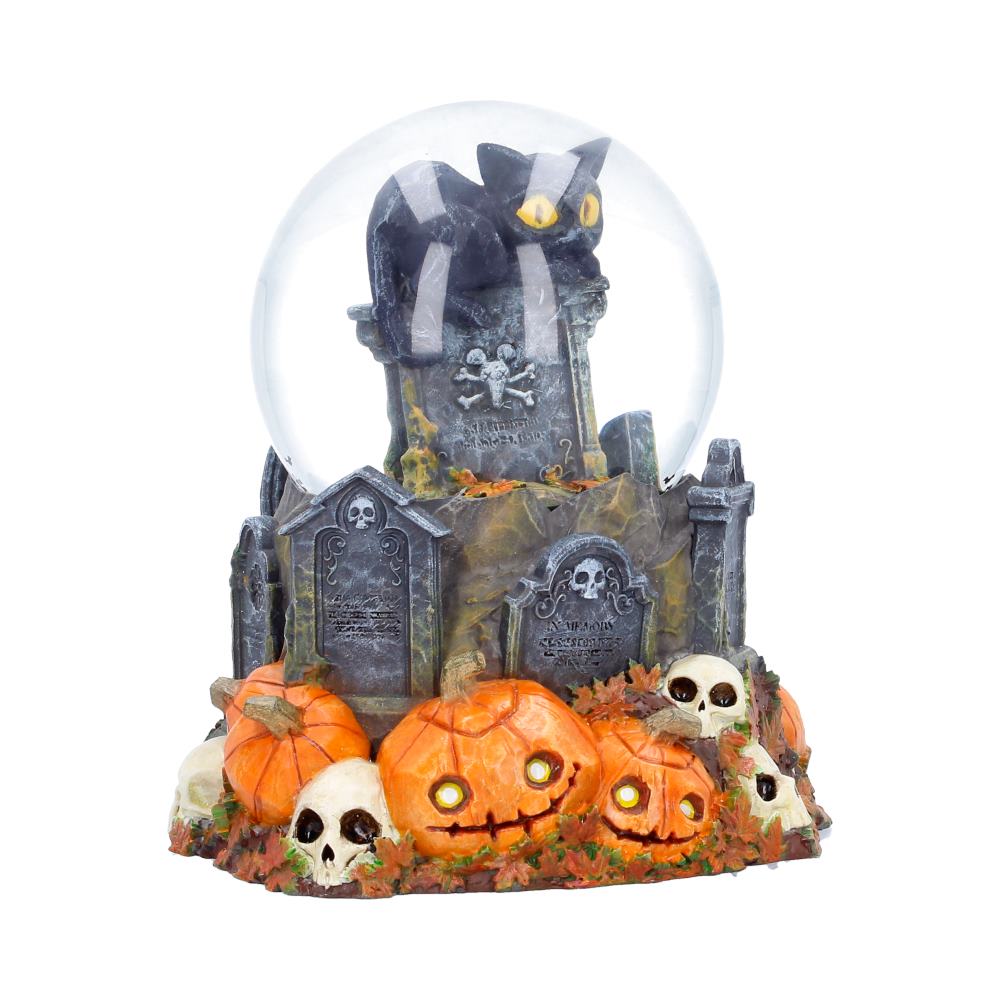 Pumpkin Patch Snow Globe