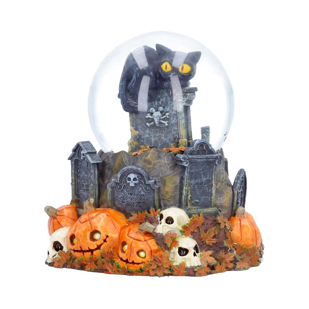 Pumpkin Patch Snow Globe