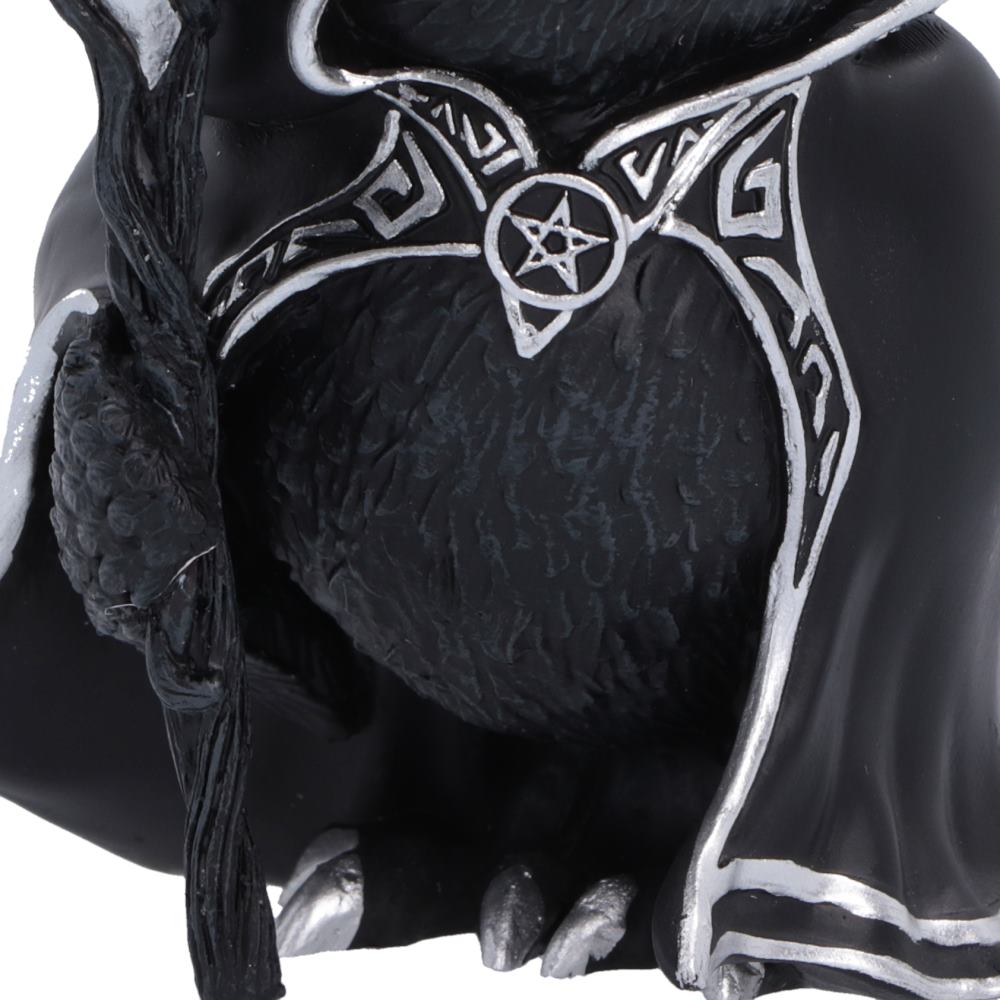 Cult Cuties Featheros