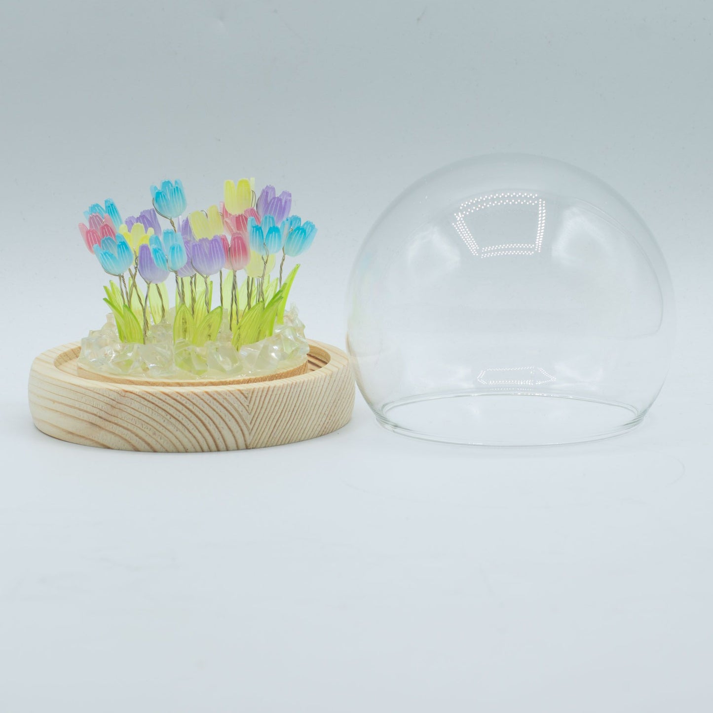 Floral Glow Garden Dome - 20 Multi Tulips