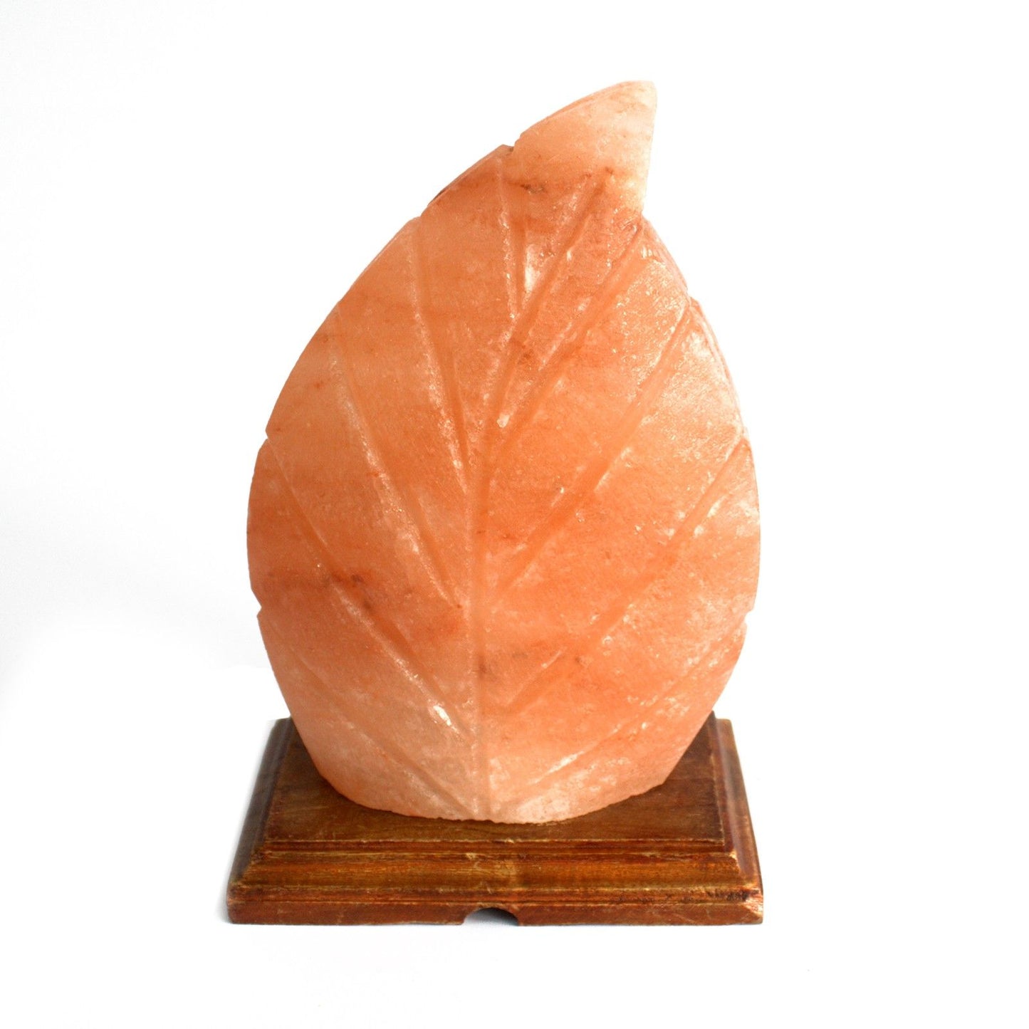 Fern Shaped Salt Lamp
