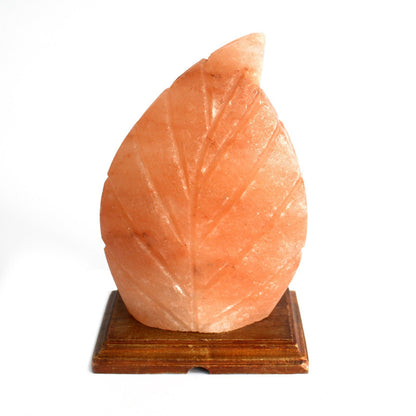 Fern Shaped Salt Lamp