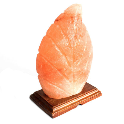 Fern Shaped Salt Lamp