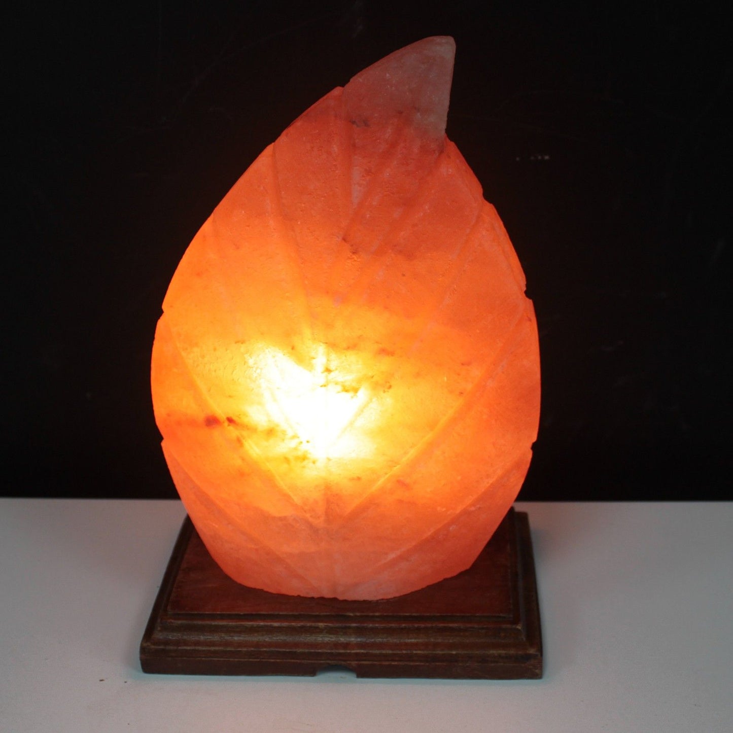 Fern Shaped Salt Lamp