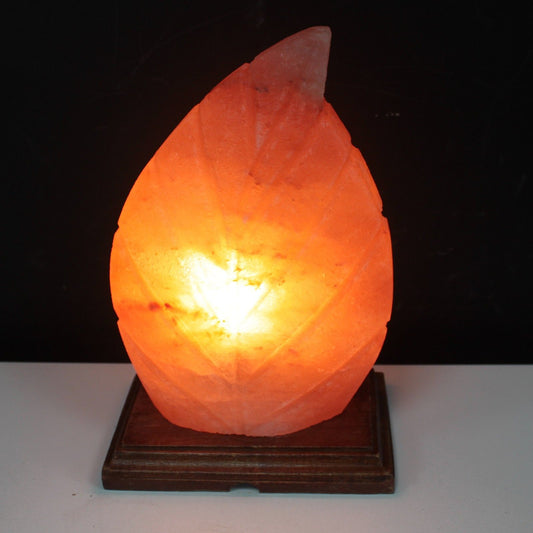 Fern Shaped Salt Lamp