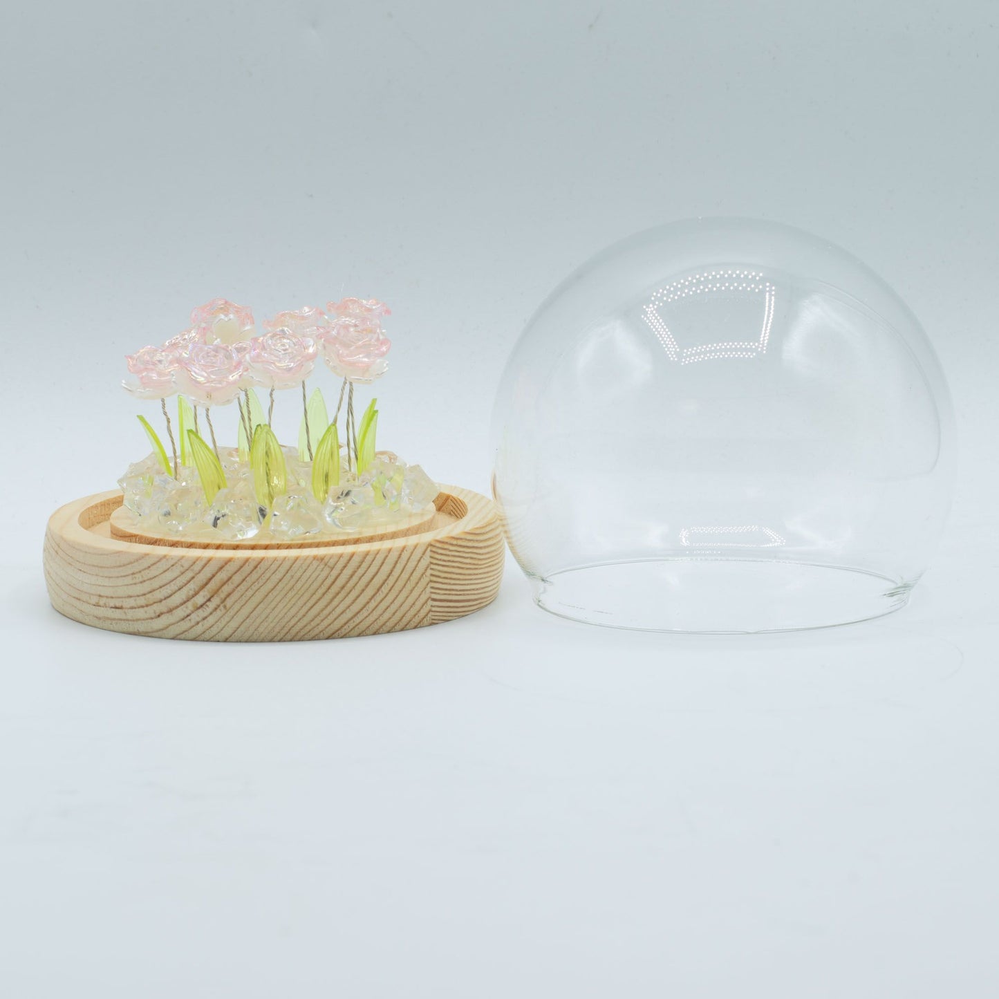 Floral Glow Garden Dome - 10 Pink Roses