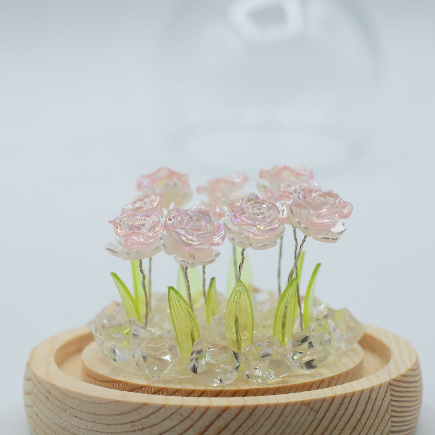 Floral Glow Garden Dome - 10 Pink Roses