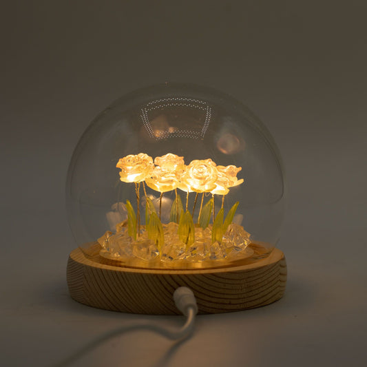 Floral Glow Garden Dome - 10 Pink Roses