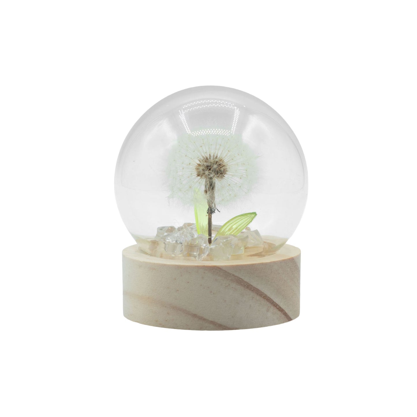 Floral Glow Garden Dome - 1 Dandelion