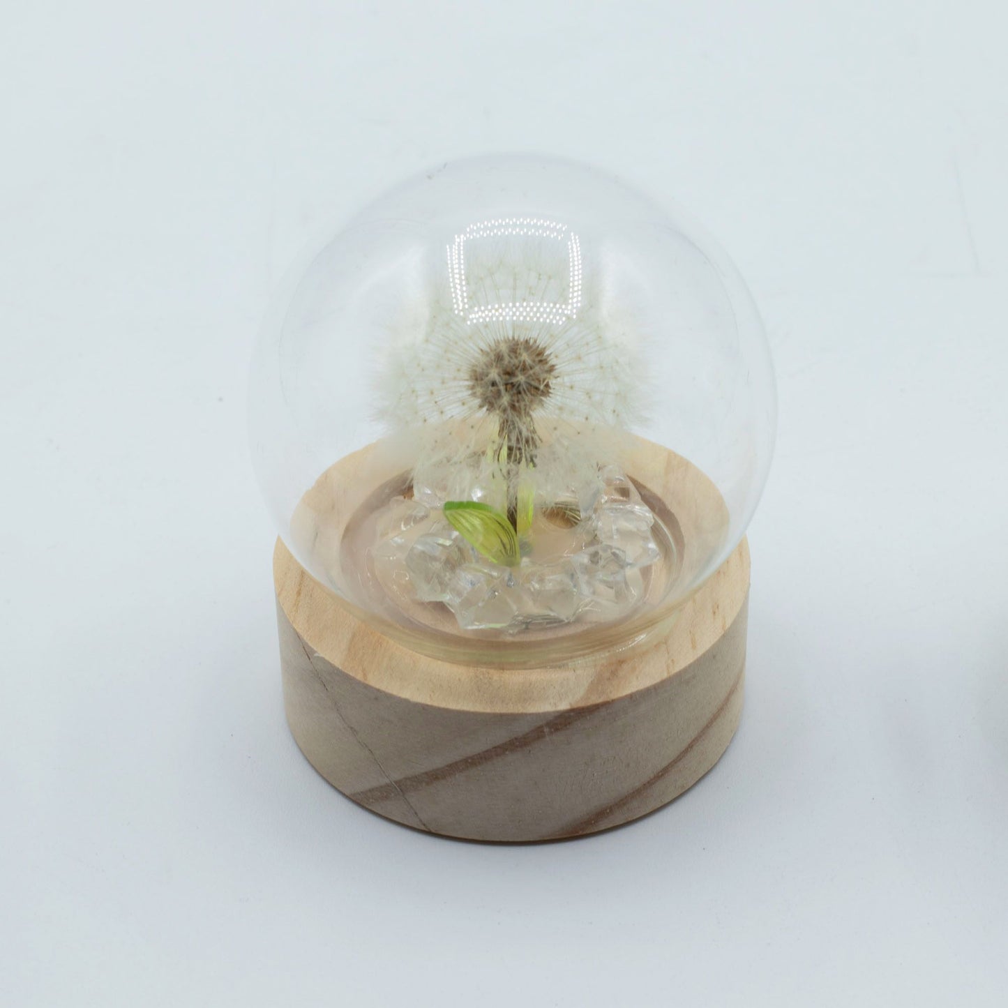 Floral Glow Garden Dome - 1 Dandelion