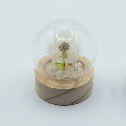 Floral Glow Garden Dome - 1 Dandelion