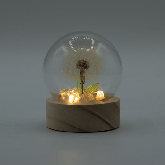Floral Glow Garden Dome - 1 Dandelion