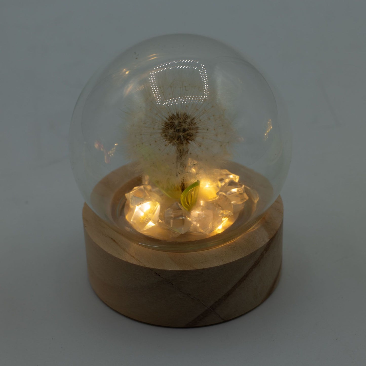 Floral Glow Garden Dome - 1 Dandelion