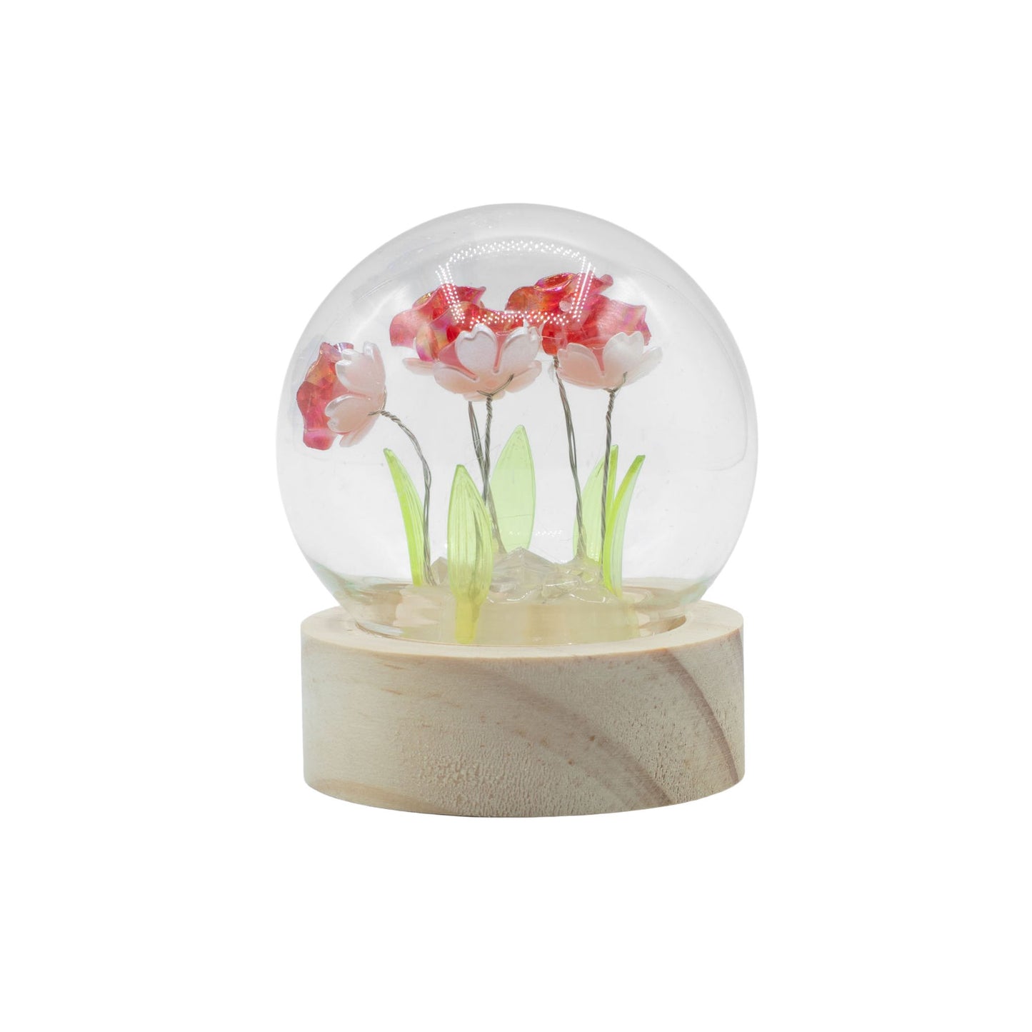 Floral Glow Garden Dome - 5 Red Roses