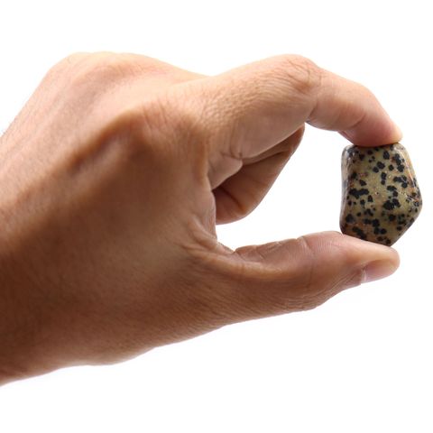 Large Tumble Stones - Dalmation Stone