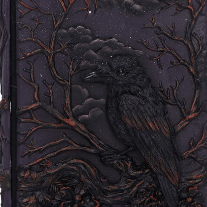 Raven's Grimoire Journal