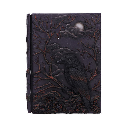 Raven's Grimoire Journal
