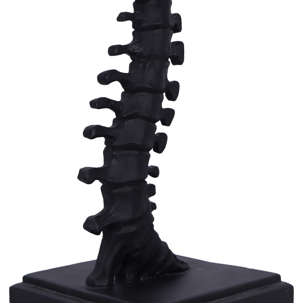 Vertebrae Table Lamp