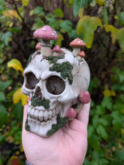 Natural Decay Skull & Mushroom Figurine