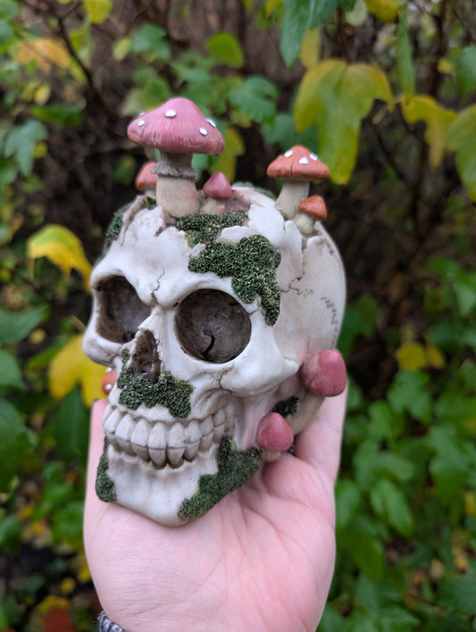 Natural Decay Skull & Mushroom Figurine