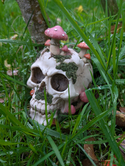Natural Decay Skull & Mushroom Figurine