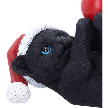 Jingle Paws
