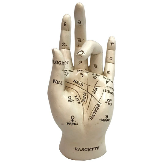 Palmistry Hand