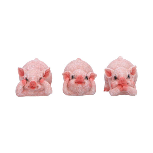 Three Wise Playful Pigs